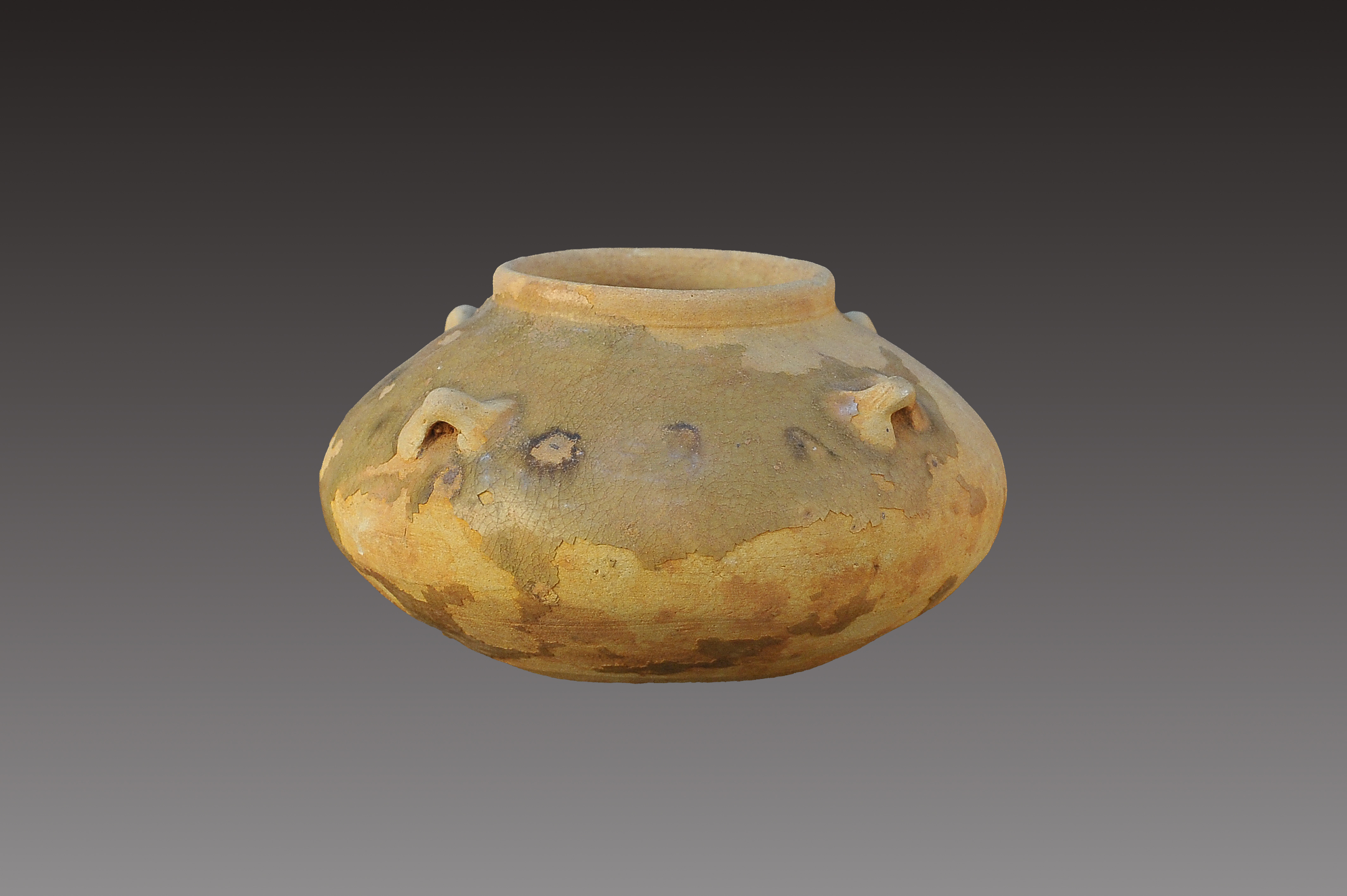 微信图片_20251210110026_136_12.jpg 微信图片_20251210110026_136_12.jpg